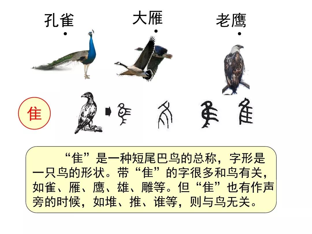 部編版二年級語文上冊識字3《拍手歌》圖文講解